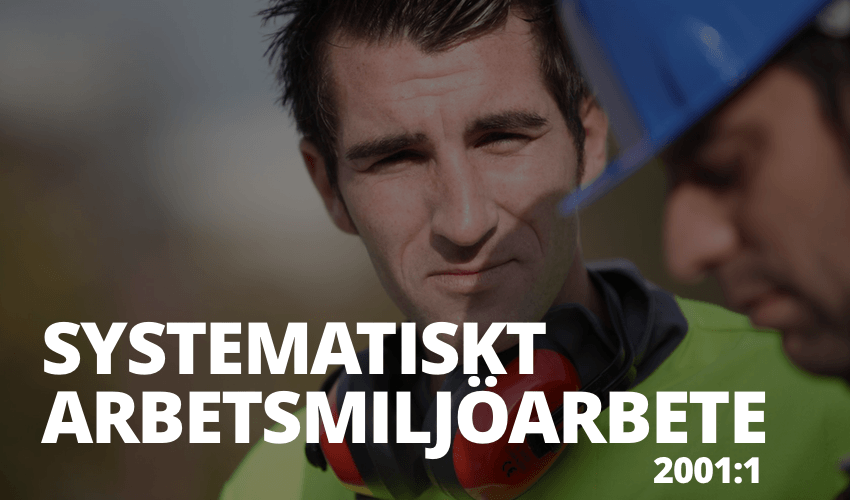 Systematiskt arbetsmiljöarbete – 2001:1